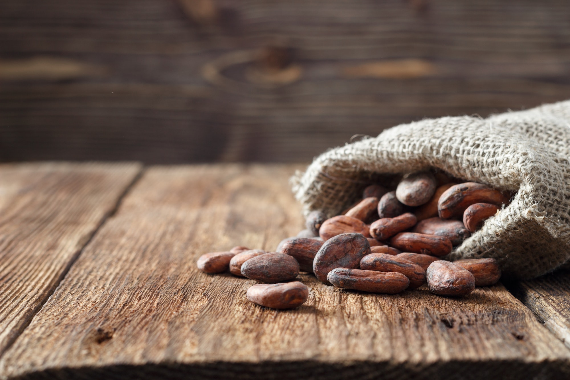 cocoa-cacao-beans-in-sackcloth-bag.jpg