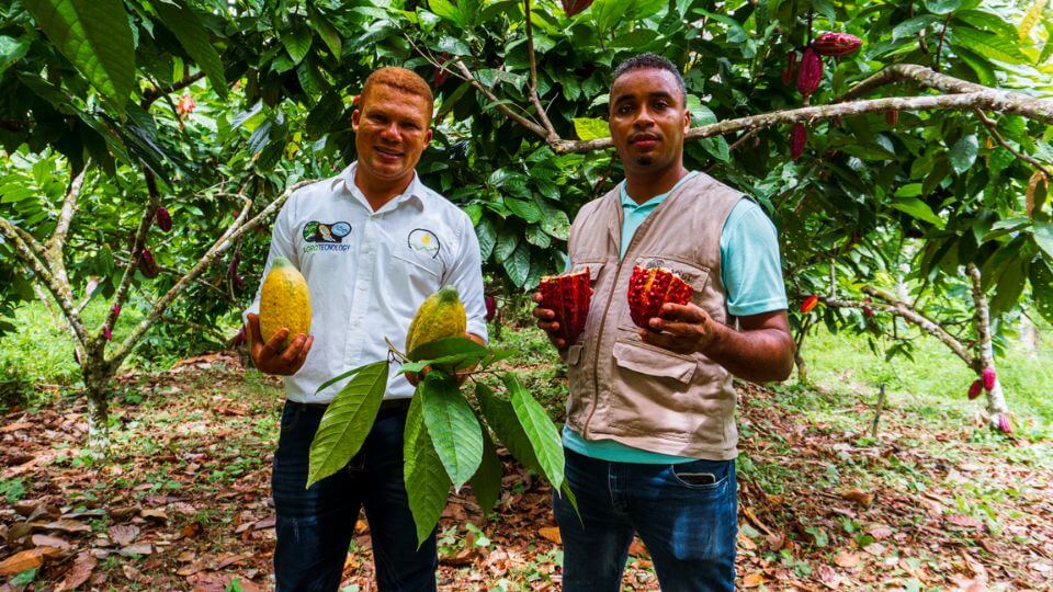 VII Congreso internacional de productores de Cacao